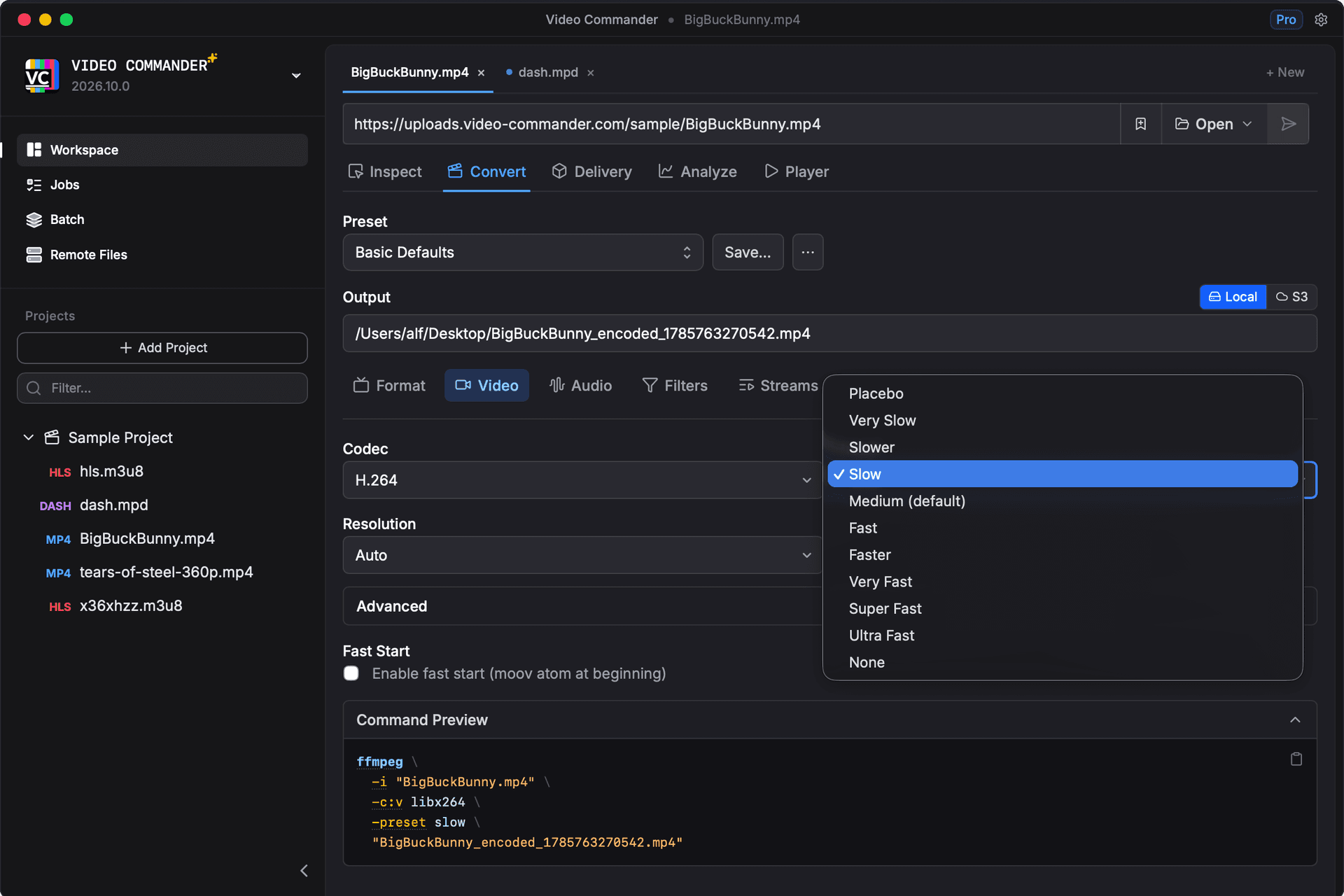 Convert view showing codec and format options