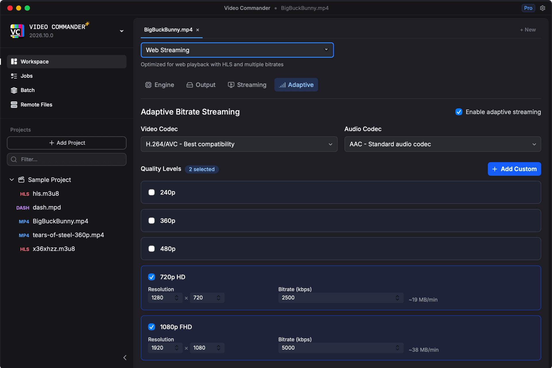 Delivery view showing adaptive bitrate packaging
