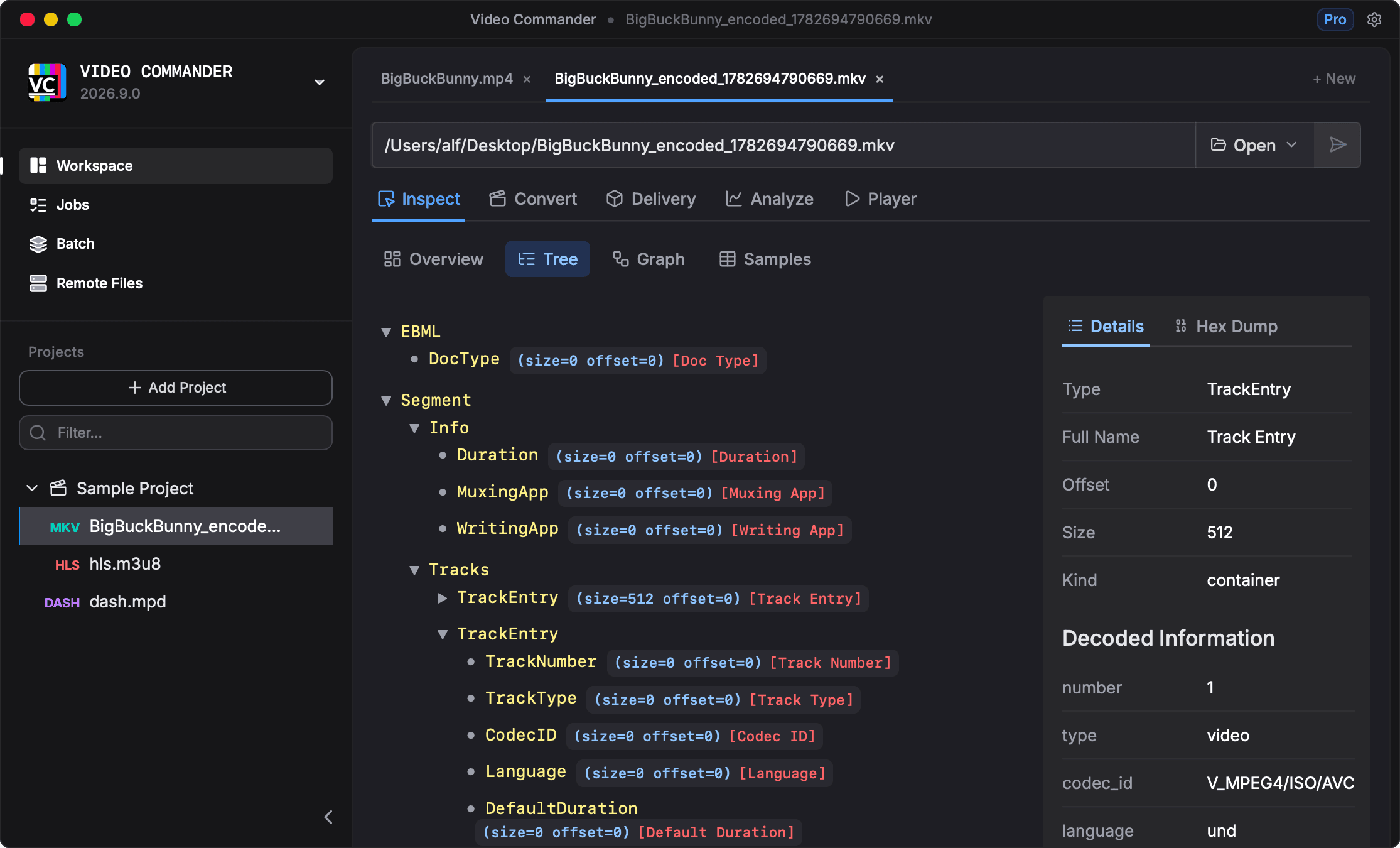 Video Commander MKV inspector for macOS — Matroska track and element tree