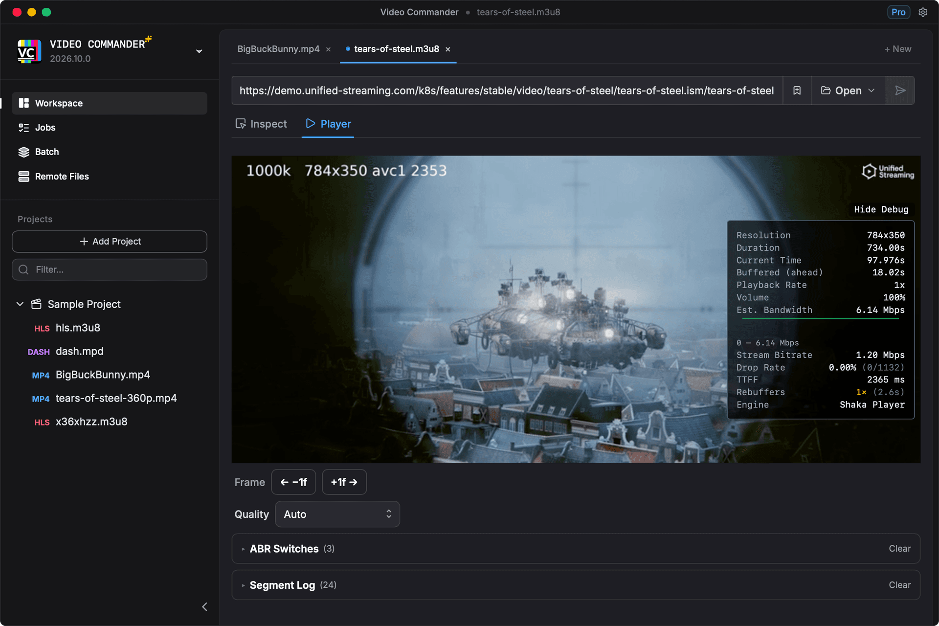 Preview view showing the integrated media player