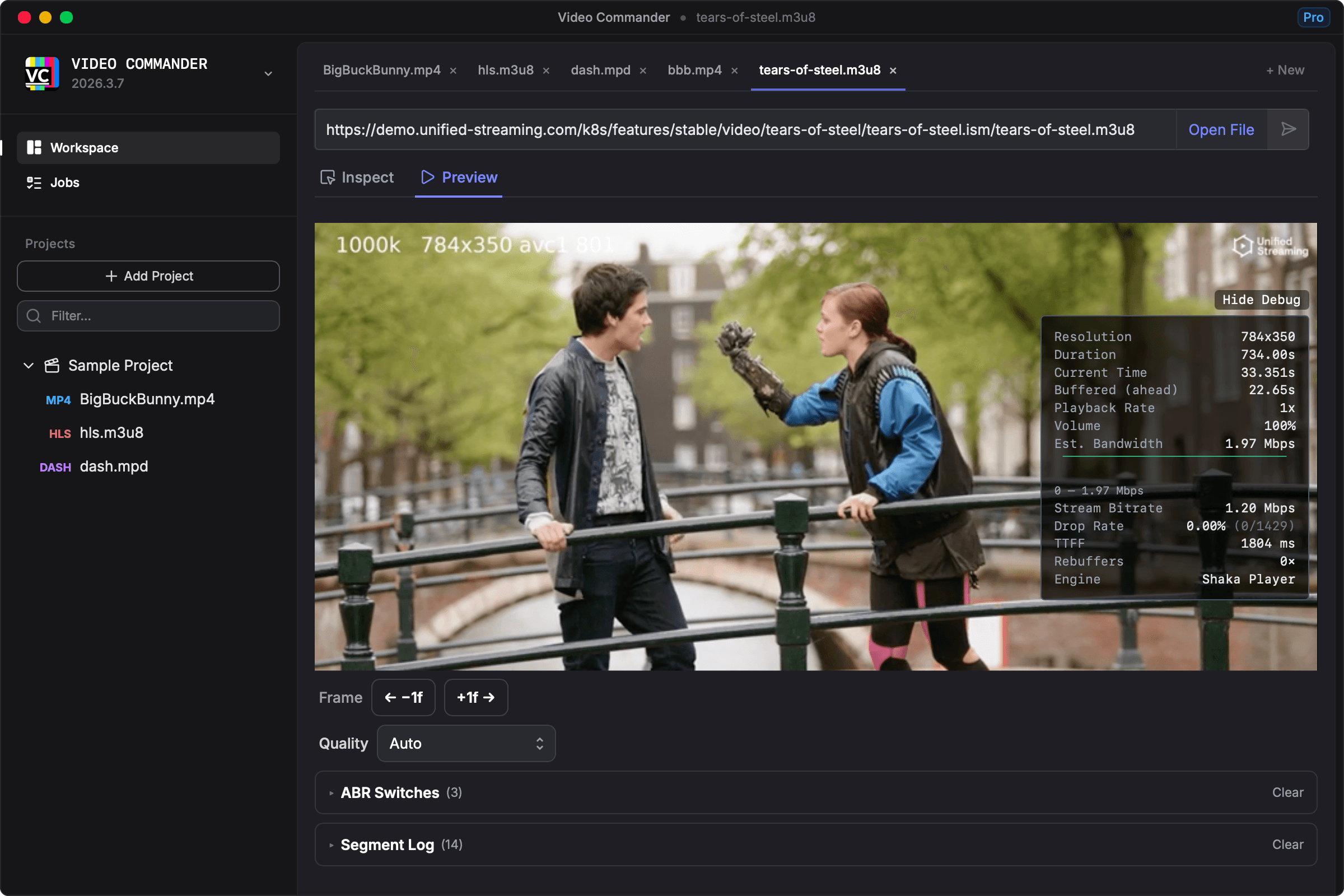 Preview view showing the integrated media player