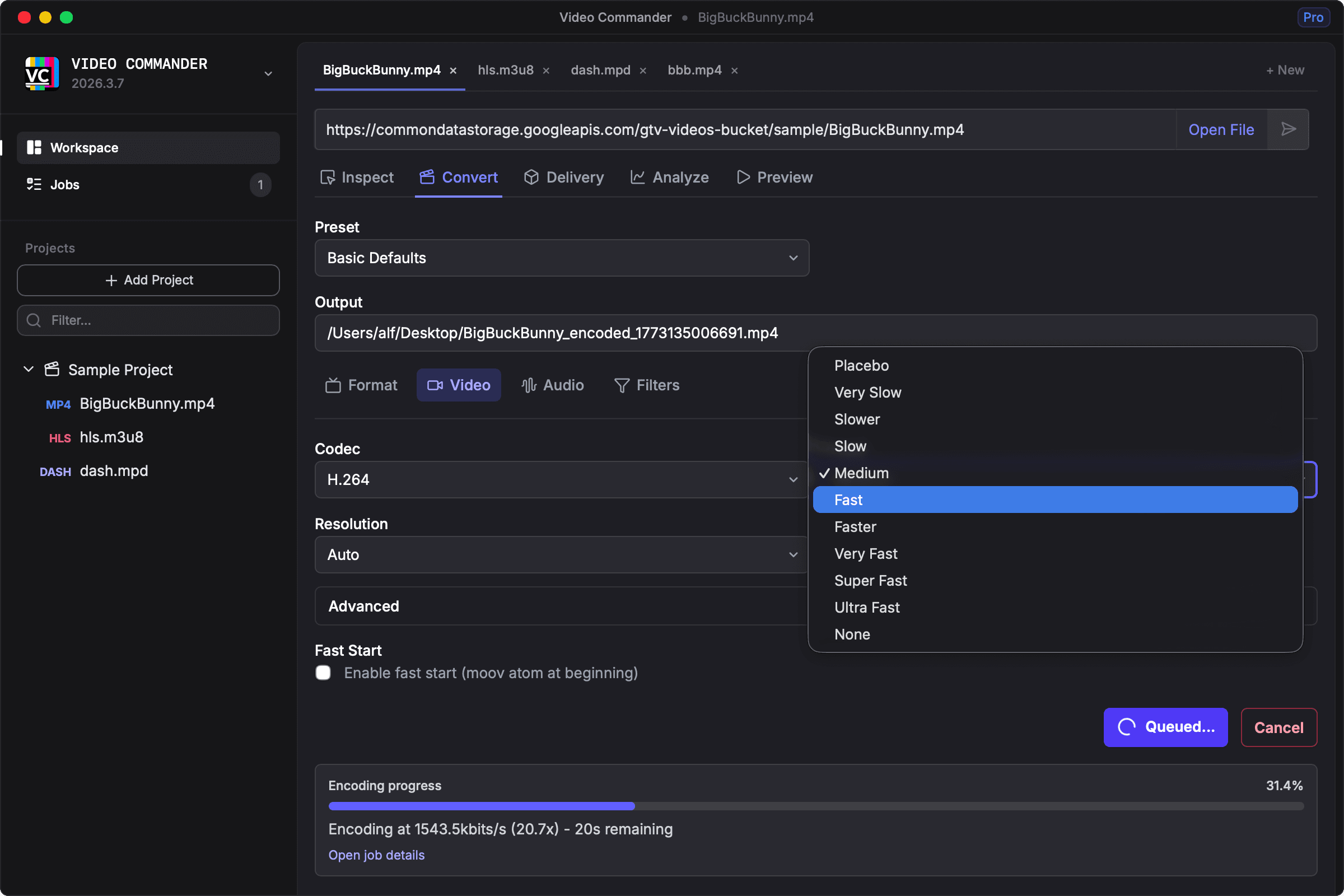 Video Commander FFmpeg GUI for Windows — video conversion interface