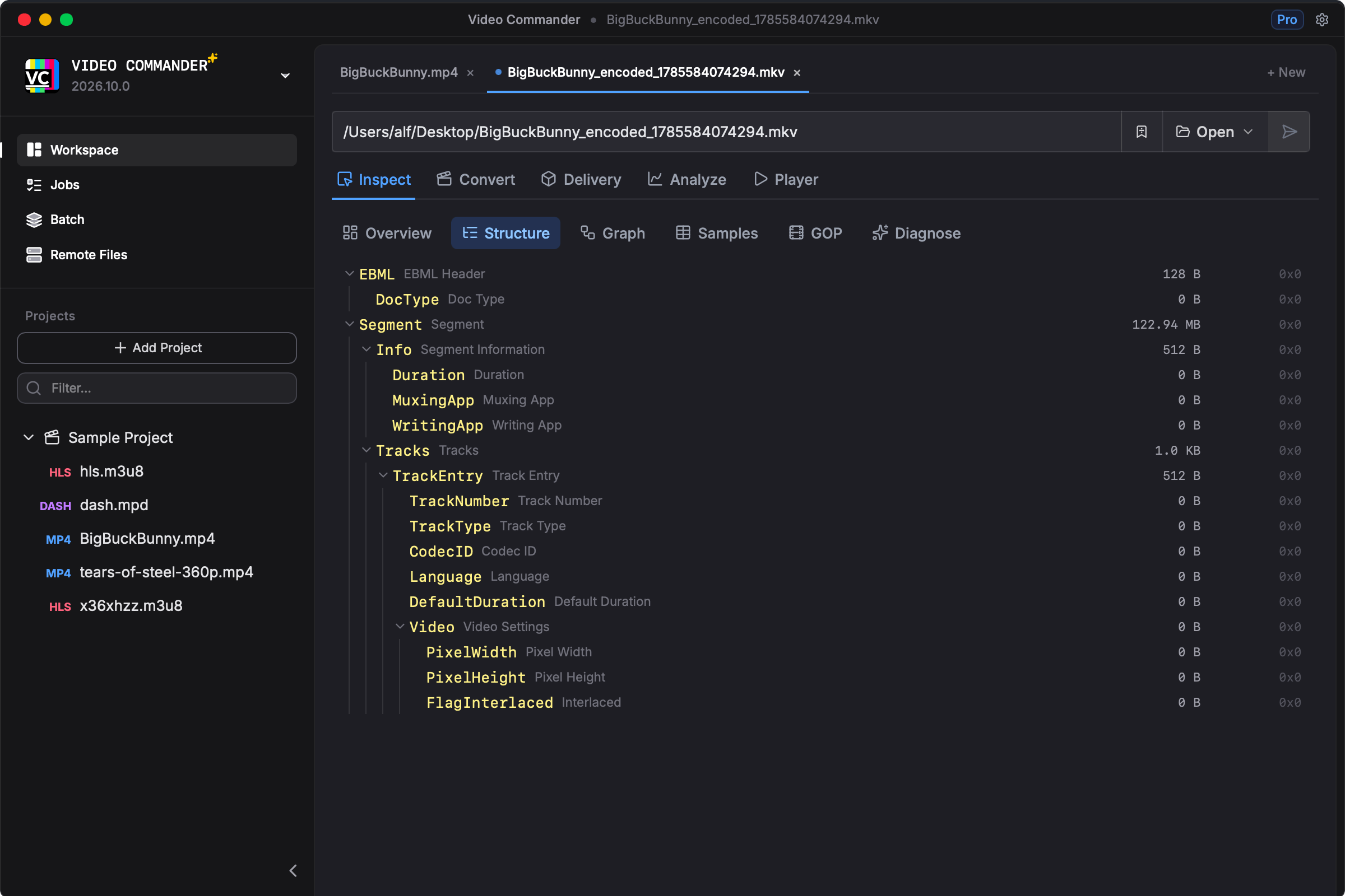 Video Commander MKV inspector for macOS — Matroska track and element tree