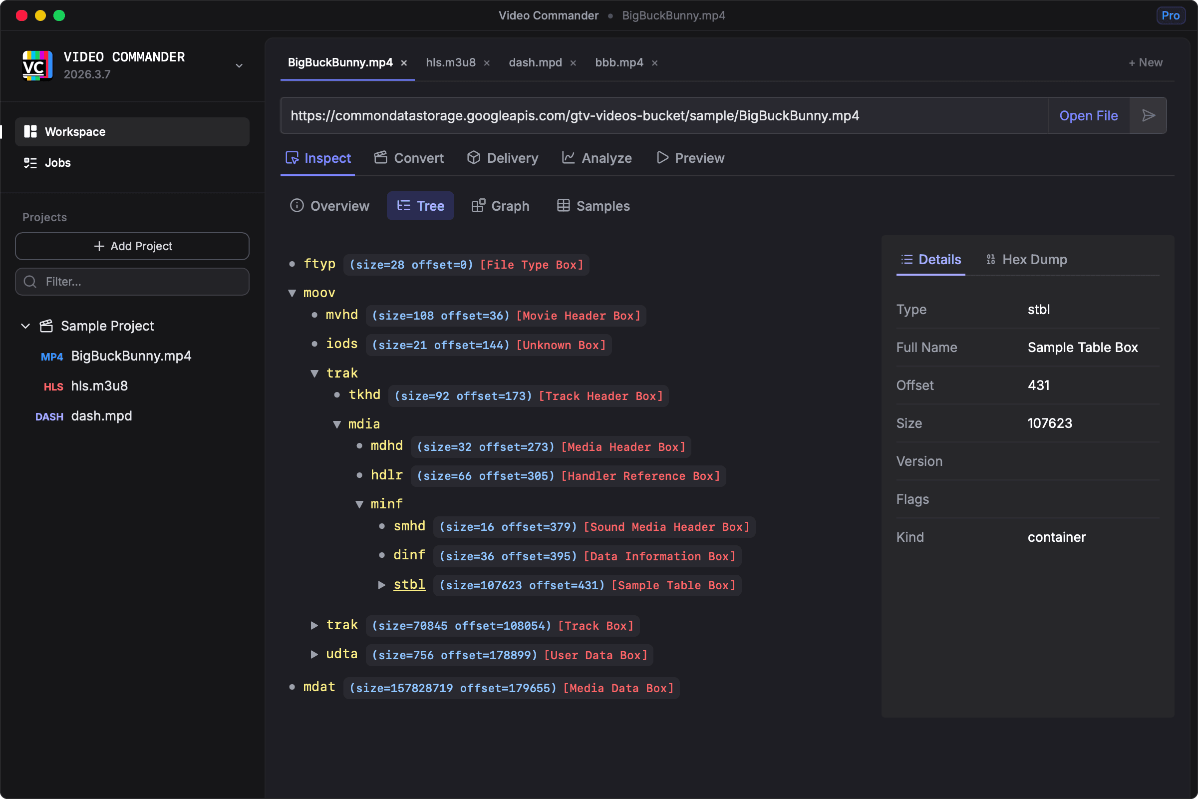 Screenshot of Video Commander Inspect